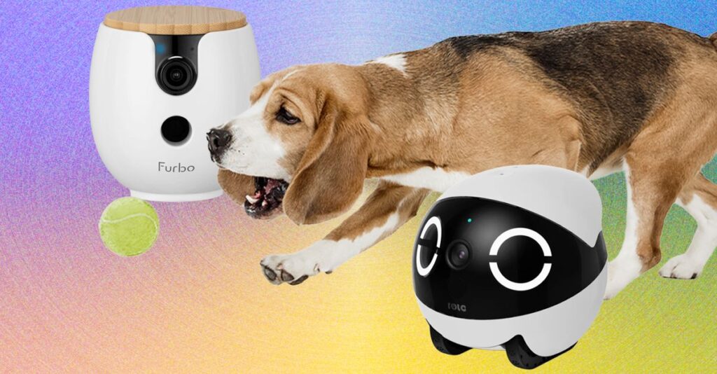the best pet cameras of 2026.jpg