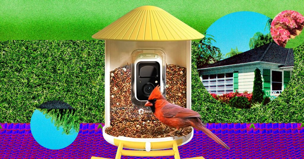 the best smart bird feeders for backyard birding.jpg