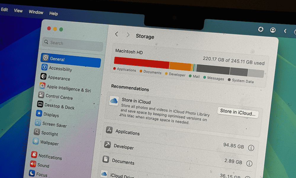the storage section of system settings on a mac.png