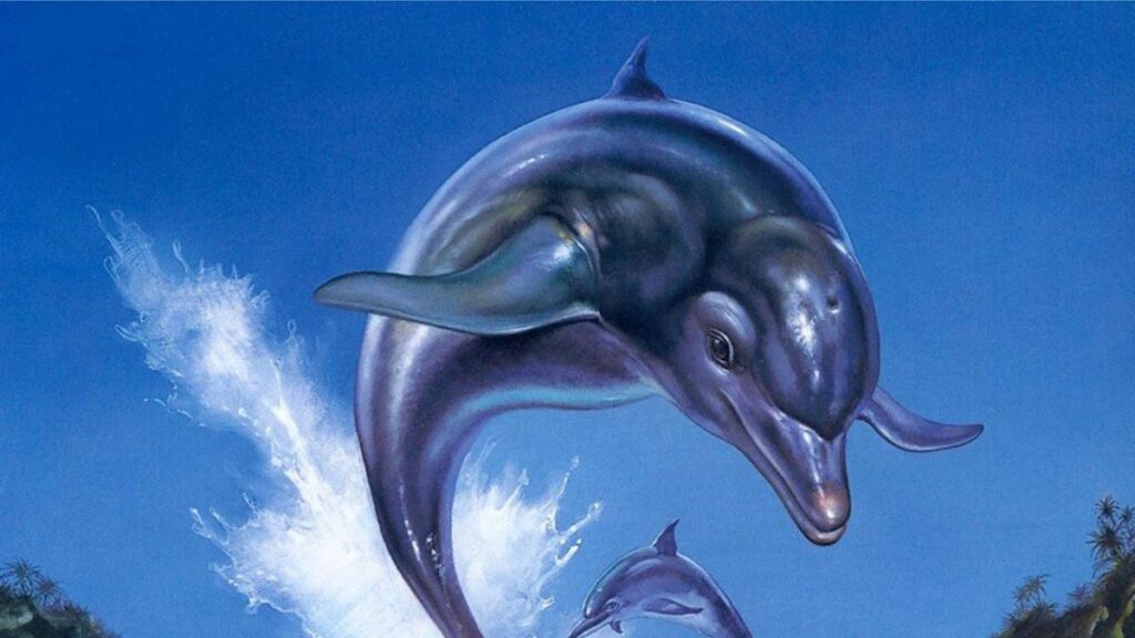 ecco the dolphin art 2675.jpg
