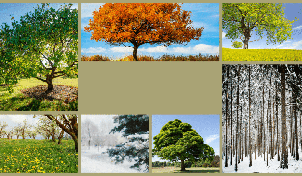 Your mind isn't a system: The way to paintings with (no longer combat) seasonal slumps fall 1.png