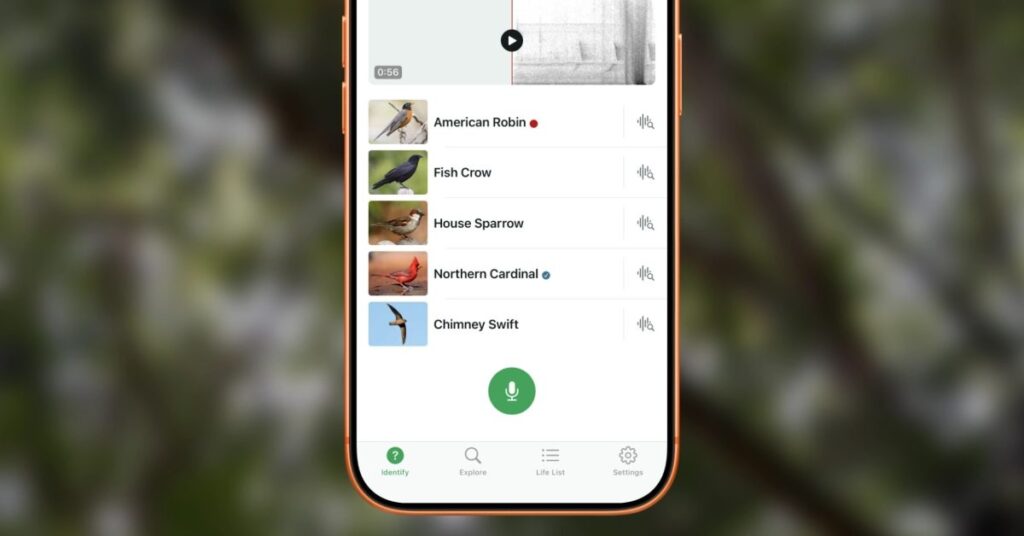 merlin id bird app iphone.webp.jpeg