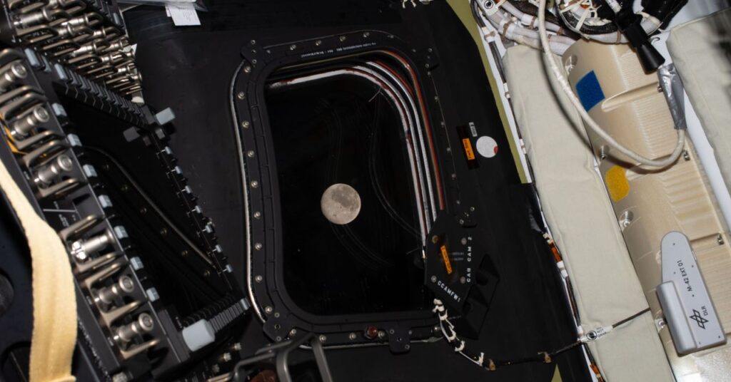 science artemis gettyimages 2269645595.jpg