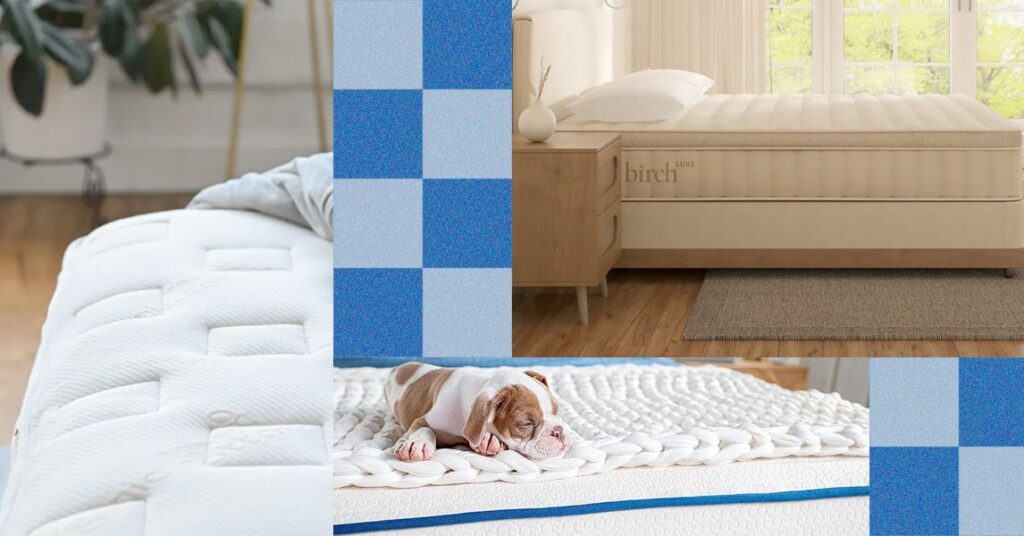 Very best Memorial Day Bed Offers: Helix, Saatva (2026) best20memorial20day20mattress20deals20source20mygreenmattress20birch20naturepedic.jpg