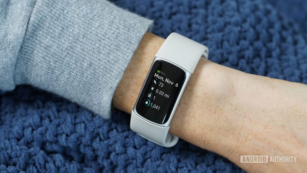got a fitbit you might lose years of data if.jpg