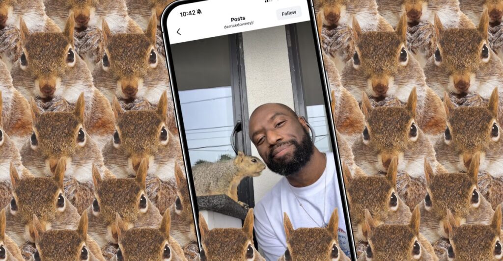 vrg illo squirrel influencer.jpg