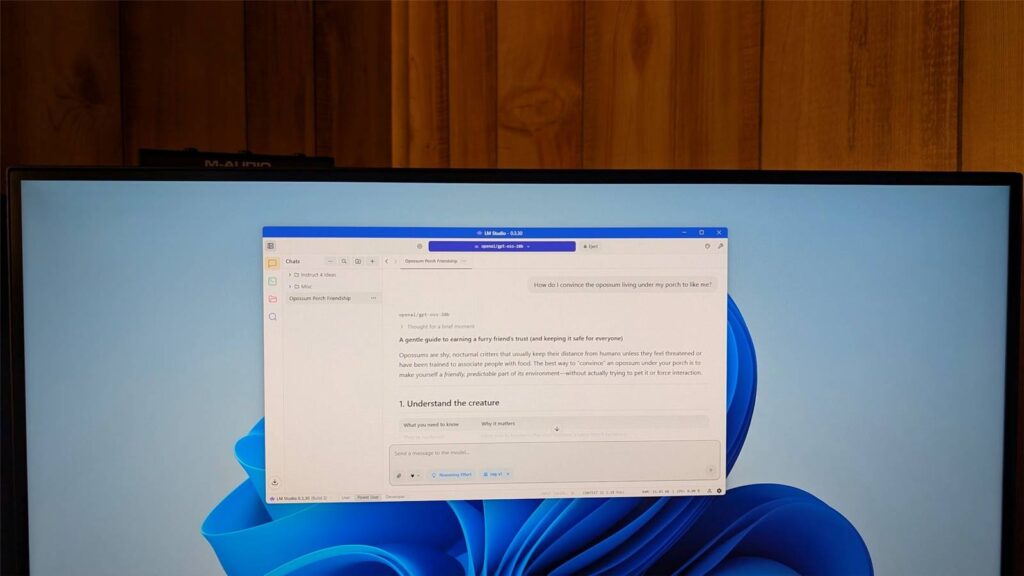 lm studio open on a windows 11 pc asking about a opossum.jpg