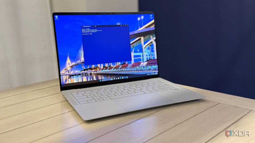 tabby laptop 2.jpg
