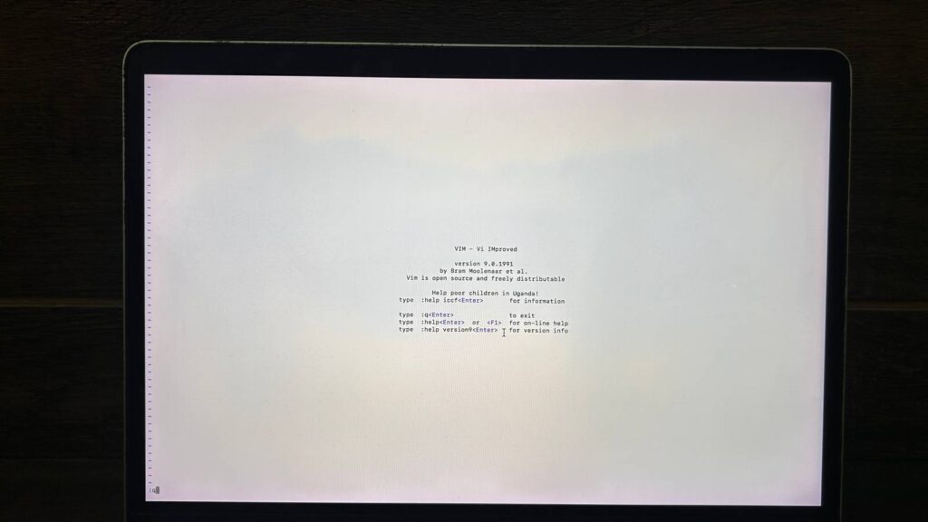 vim open on a macbook.jpeg